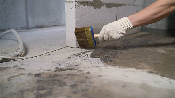 SJ Waterproofing Pros Waterproofing coverage map for Arlington, MN and surrounding area